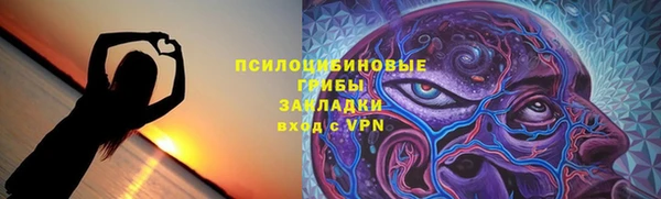 метадон Арсеньев