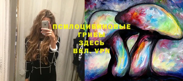 метадон Арсеньев